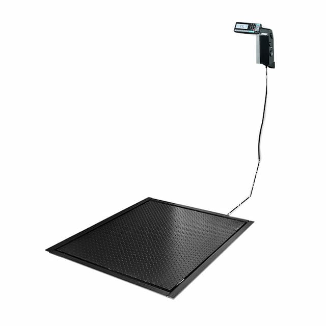 Весы напольные МАССА-К 4D-PMF-20/15-1000-RL